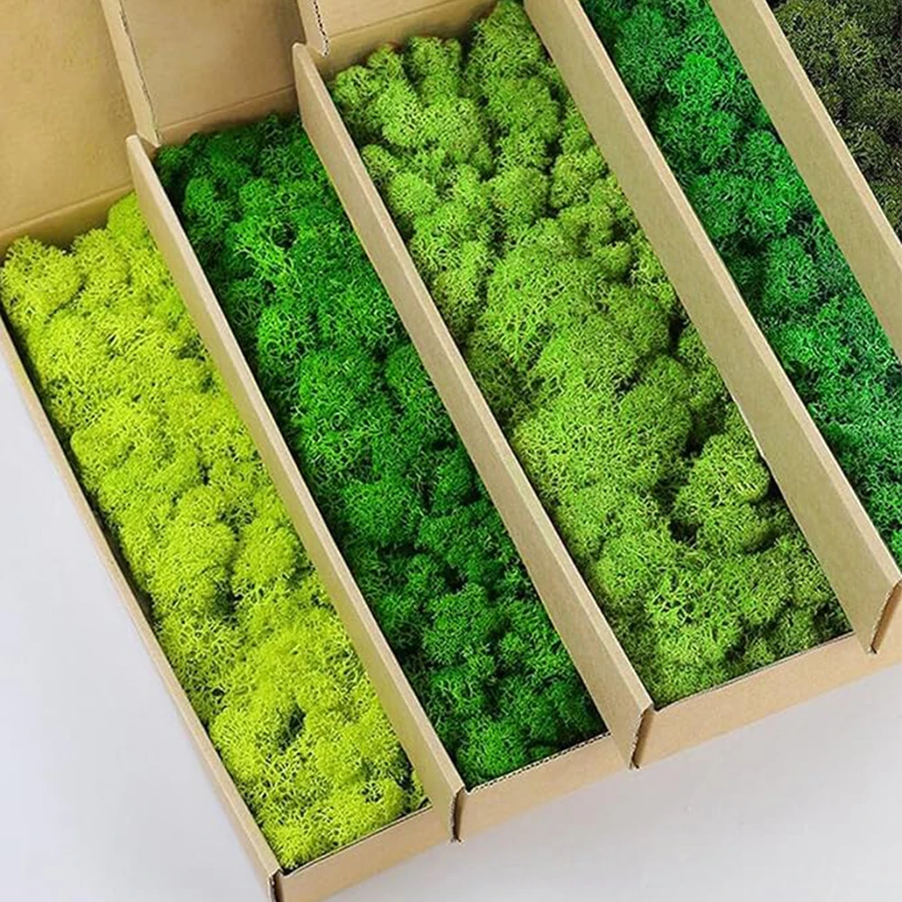 Sphagnum Moss Dry - 20-200g พืชสีเขียวประดิษฐ์หญ้าปลอม Eternal Life MOSS Grassfor