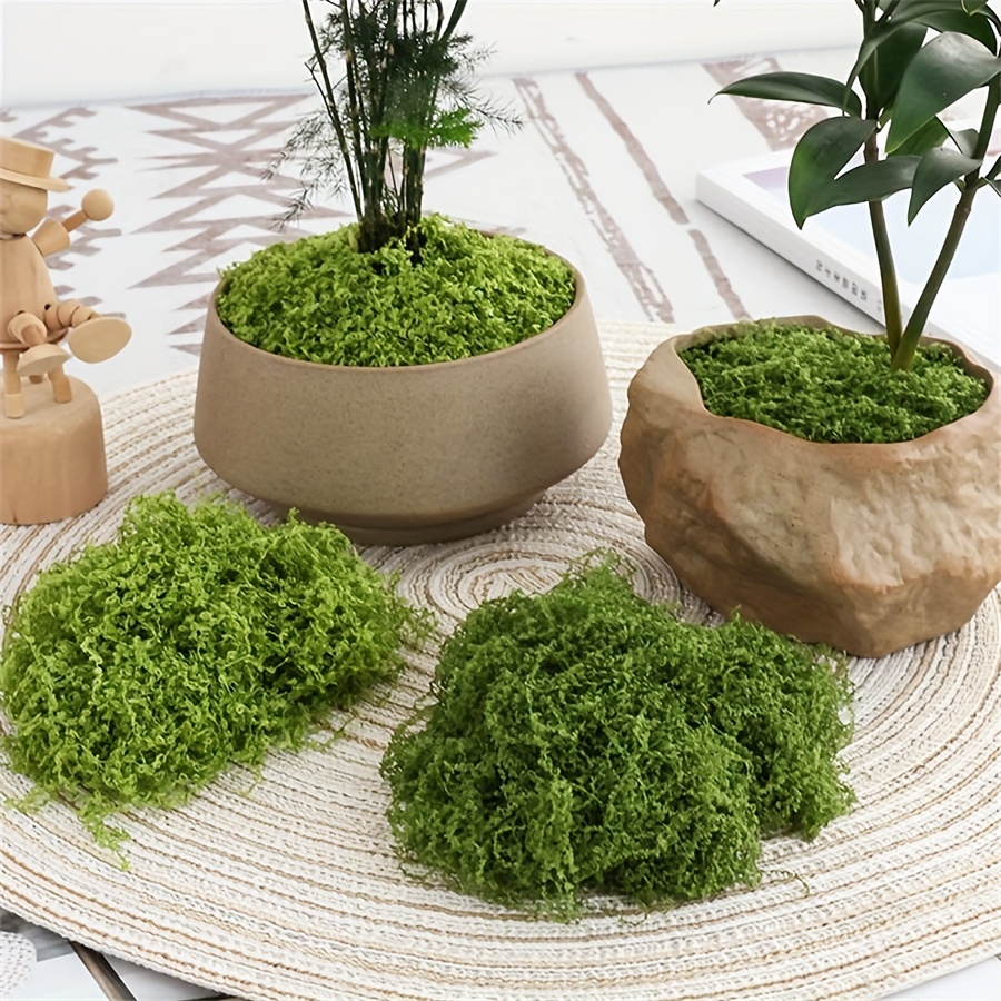 Sphagnum Moss Dry - 1 แพ็คประดิษฐ์ปลอม Moss, 1.05 OZ DIY
