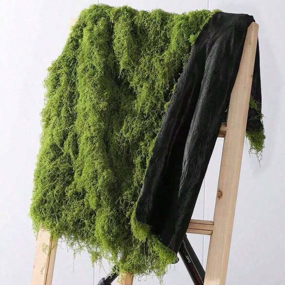 Sphagnum Moss Dry - 1*1 M ปลอม MOSS งานฝีมือ DIY