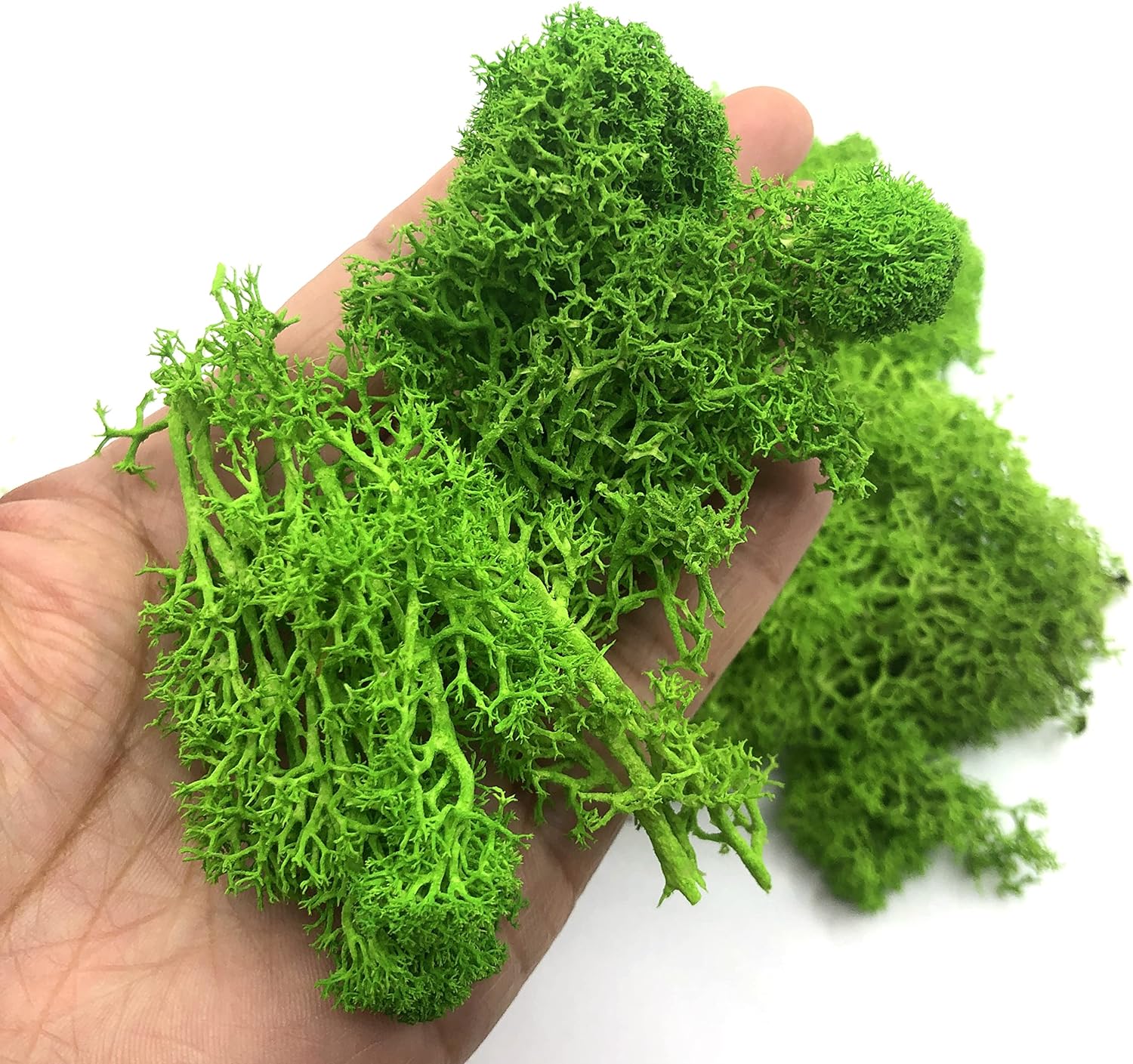 Sphagnum Moss Dry - 200g พืชสีเขียวประดิษฐ์ MINI ภูมิทัศน์ชีวิตนิรันดร์ MOSS หญ้าปลอมหญ้าสวนห้องนั่งเล่นตกแต่งบ้าน