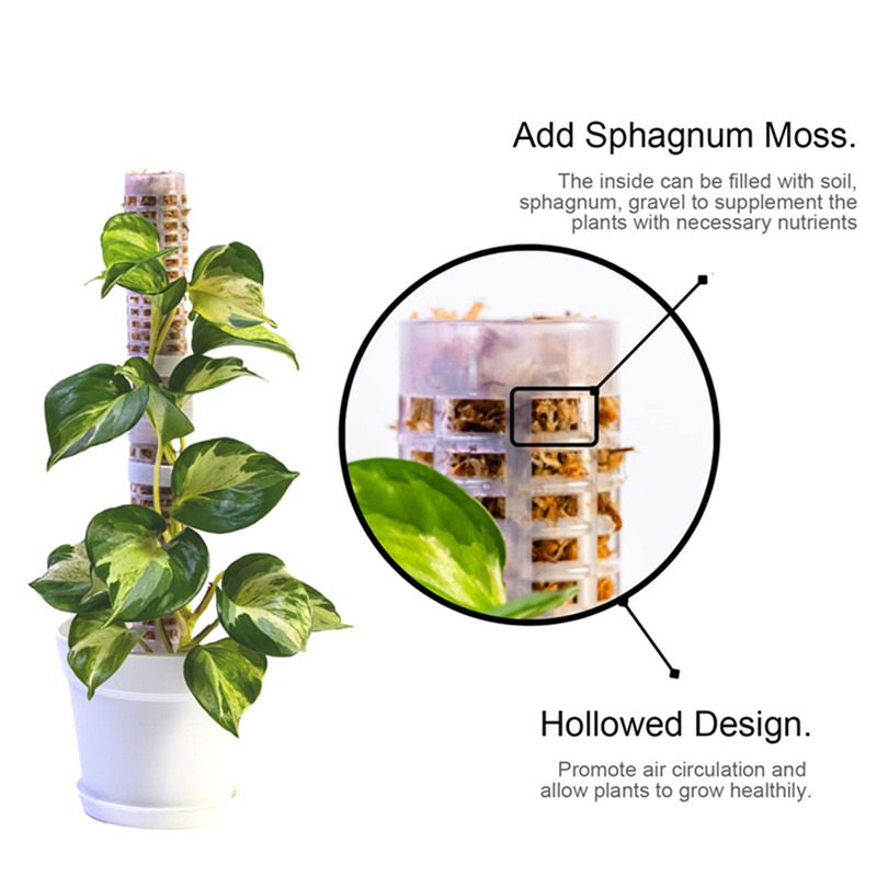 Sphagnum Moss Dry - เสาสำหรับพืชเลื้อย ไม้ค้ำยันต้นไม้ ทำจากมอสส์สฟากนัม ช่วยรักษาความชื้นและบำรุงด้วยธาตุอาหาร สำหรับยึดต้นไม้และช่วยให้ต้นไม้เจริญเติบโต