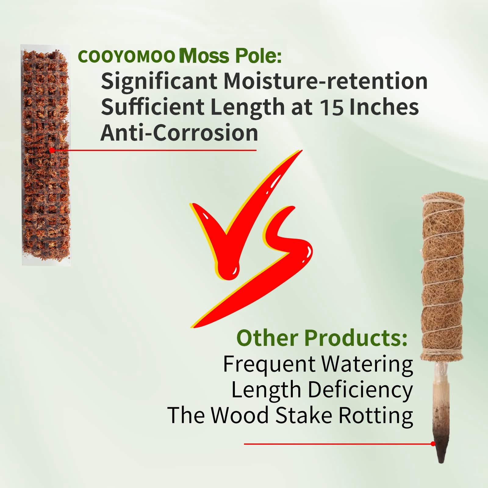 MOSS เสาพืชพืชสนับสนุนพลาสติกโ - Sphagnum Moss Dry บทวิจารณ์และราคา