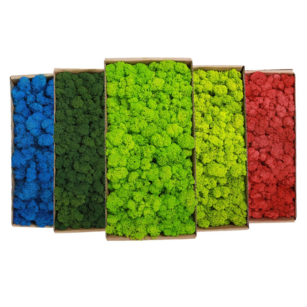 20-200g พืชสีเขียวประดิษฐ์หญ้า - Sphagnum Moss Dry บทวิจารณ์และราคา