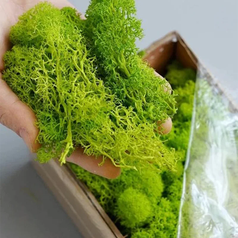 20-200g พืชสีเขียวประดิษฐ์หญ้า - Sphagnum Moss Dry บทวิจารณ์และราคา