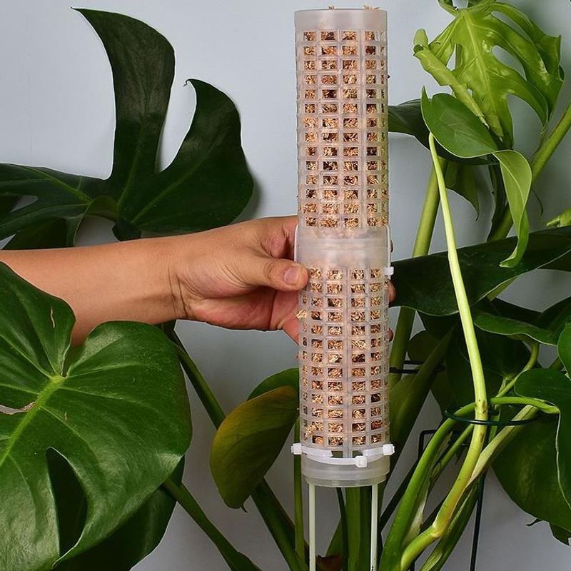 เสาพลาสติกสำหรับพืชเลื้อย แบบซ - Sphagnum Moss Dry บทวิจารณ์และราคา