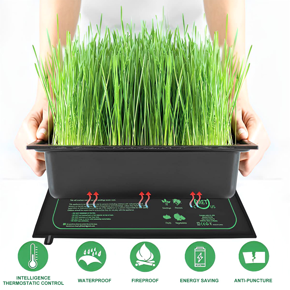 แผ่นทำความร้อนสำหรับต้นกล้าขนา - Rooting Gel Clone บทวิจารณ์และราคา
