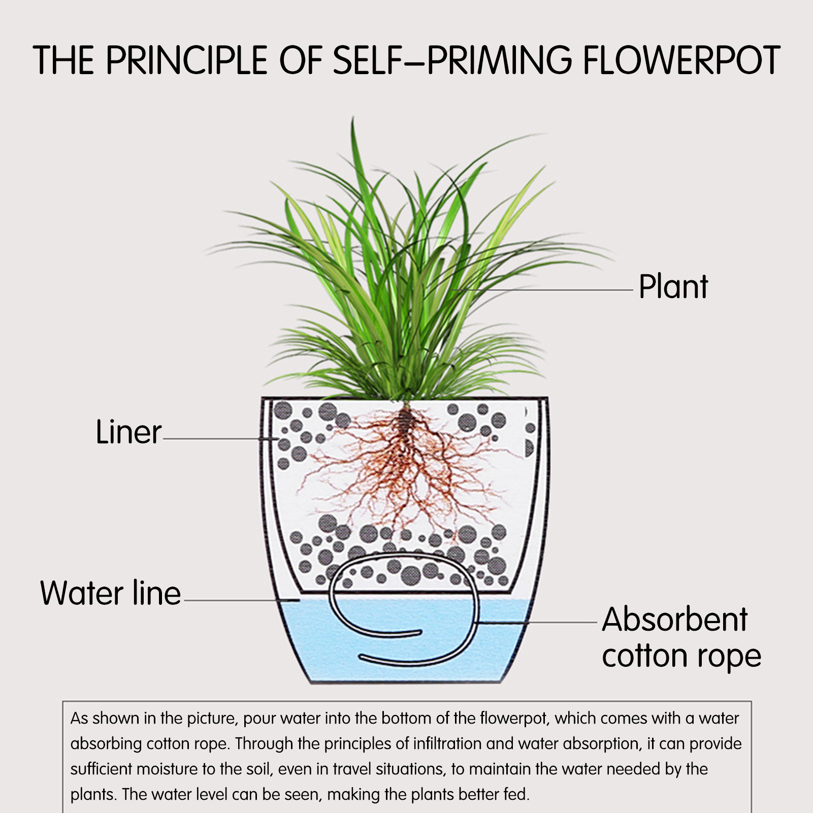 กระถางต้นไม้รดน้ำอัตโนมัติ กระ - Self Watering Insert บทวิจารณ์และราคา