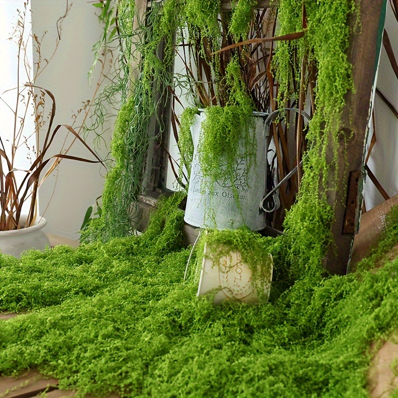 1 แพ็คประดิษฐ์ปลอม Moss, 1.05  - Sphagnum Moss Dry บทวิจารณ์และราคา