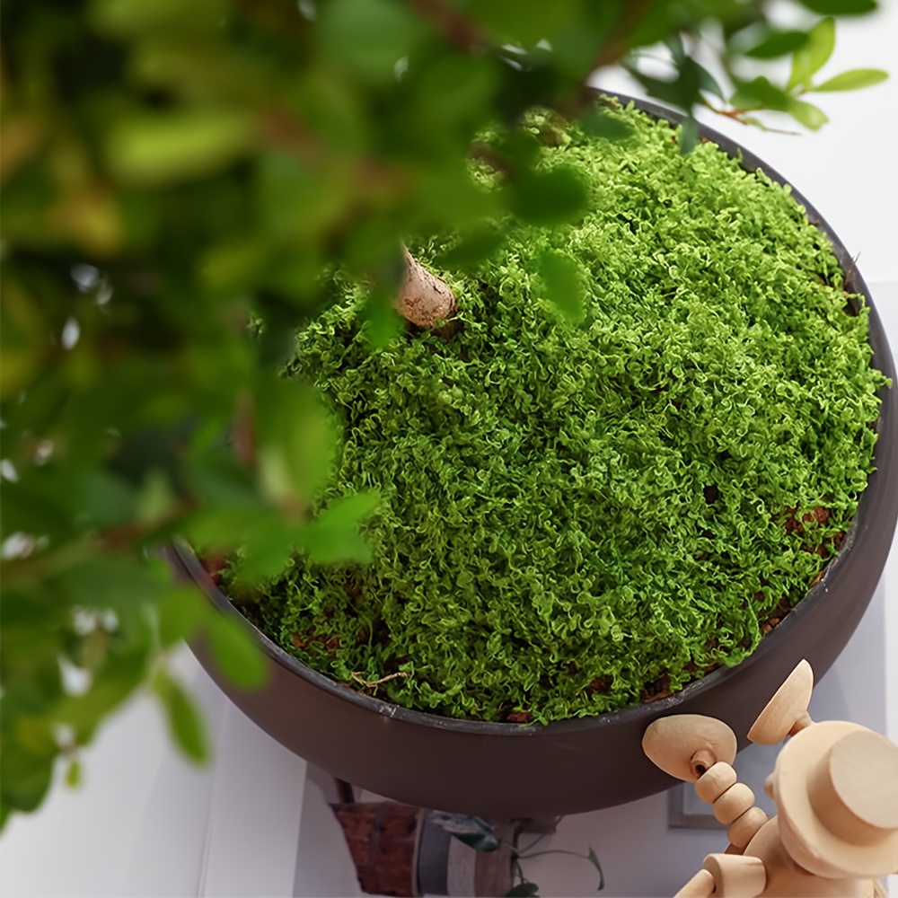 1 แพ็คประดิษฐ์ปลอม Moss, 1.05  - Sphagnum Moss Dry บทวิจารณ์และราคา