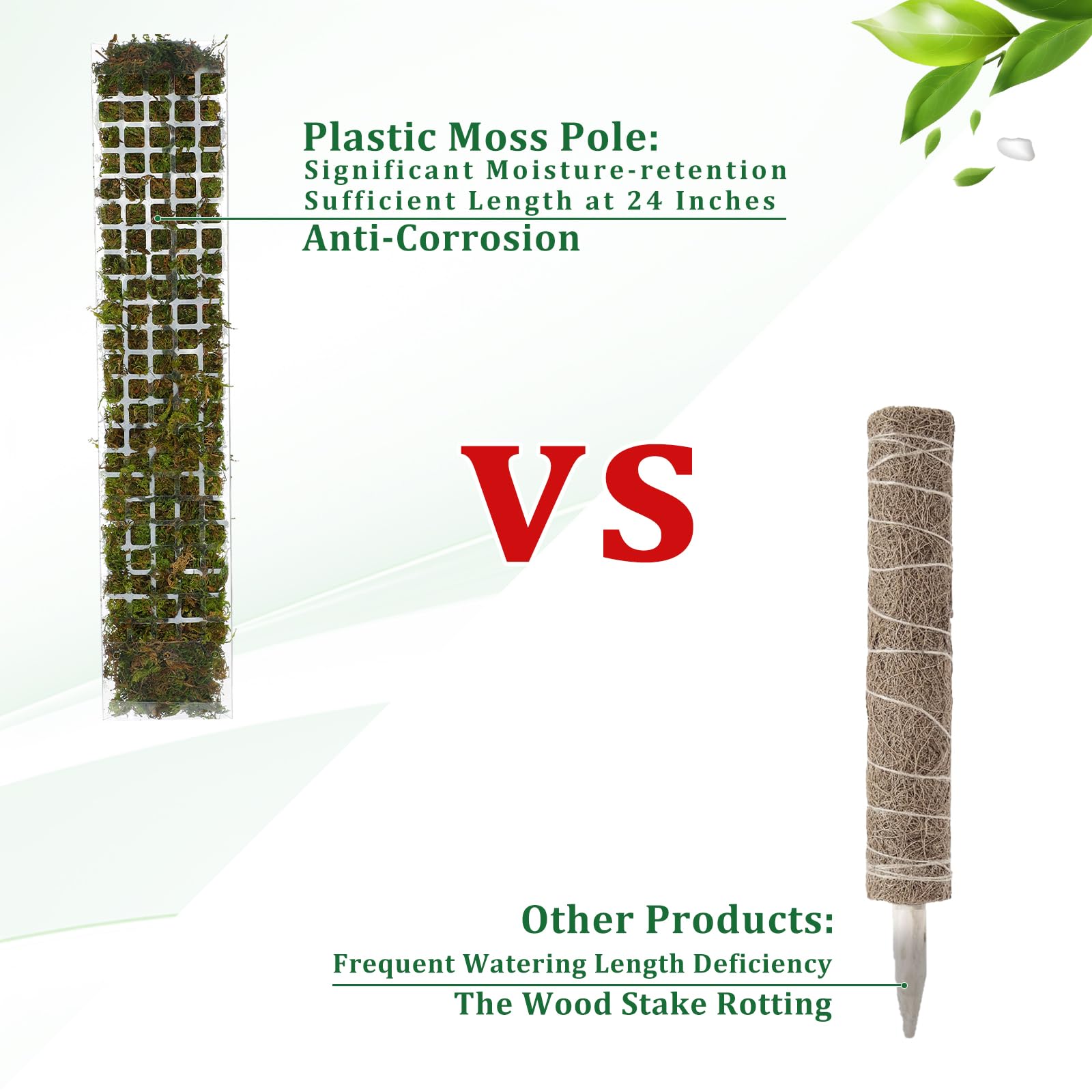 MOSS POLE พลาสติกยืนในร่มพืชปี - Sphagnum Moss Dry บทวิจารณ์และราคา