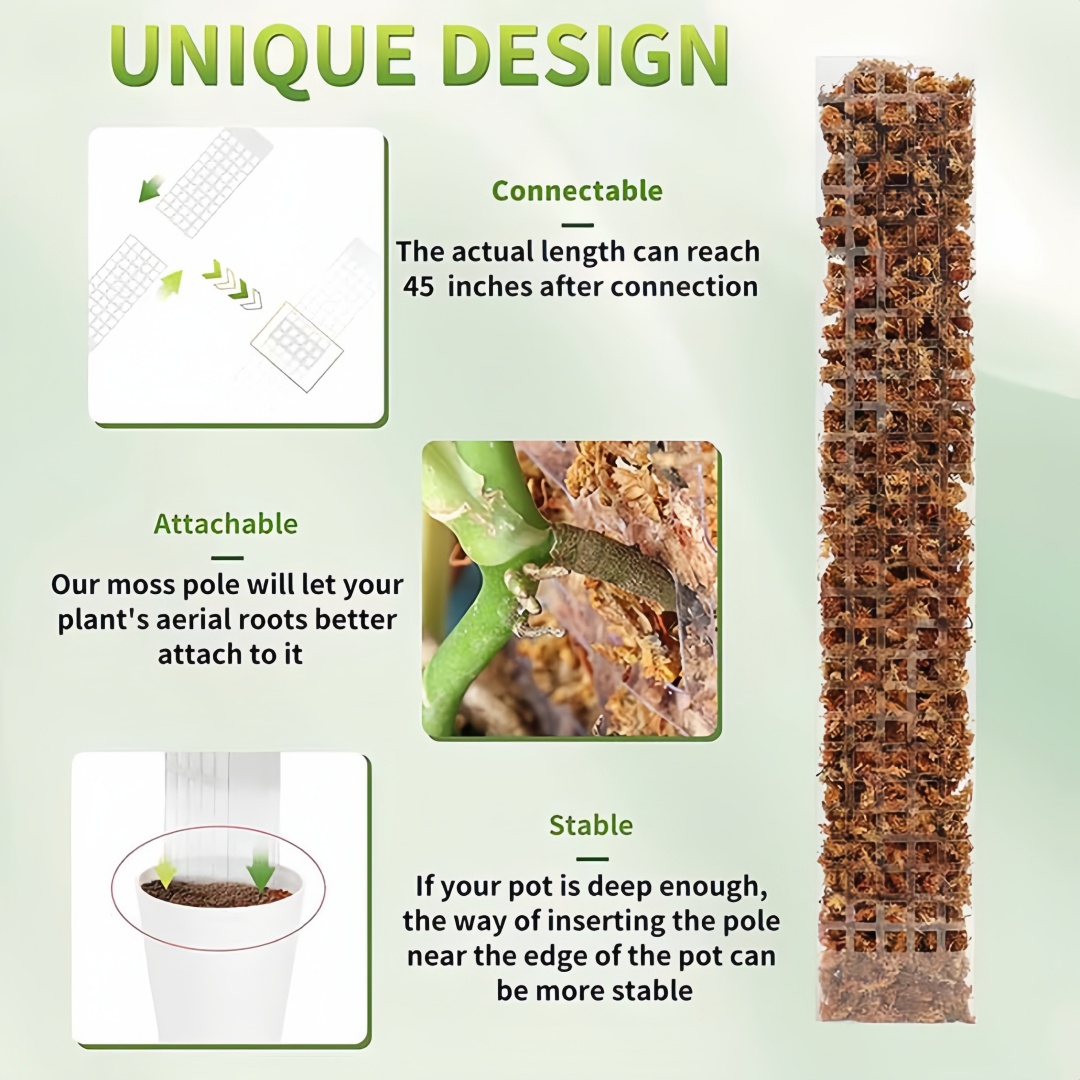 MOSS POLE พลาสติกยืนในร่มพืชปี - Sphagnum Moss Dry บทวิจารณ์และราคา