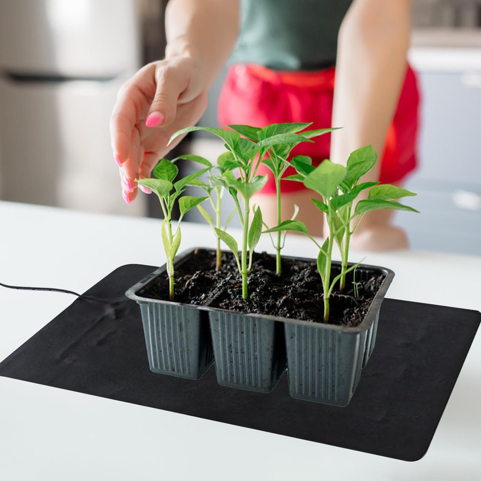 แผ่นทำความร้อนสำหรับเพาะเมล็ดแ - Heat Mat Seedling บทวิจารณ์และราคา