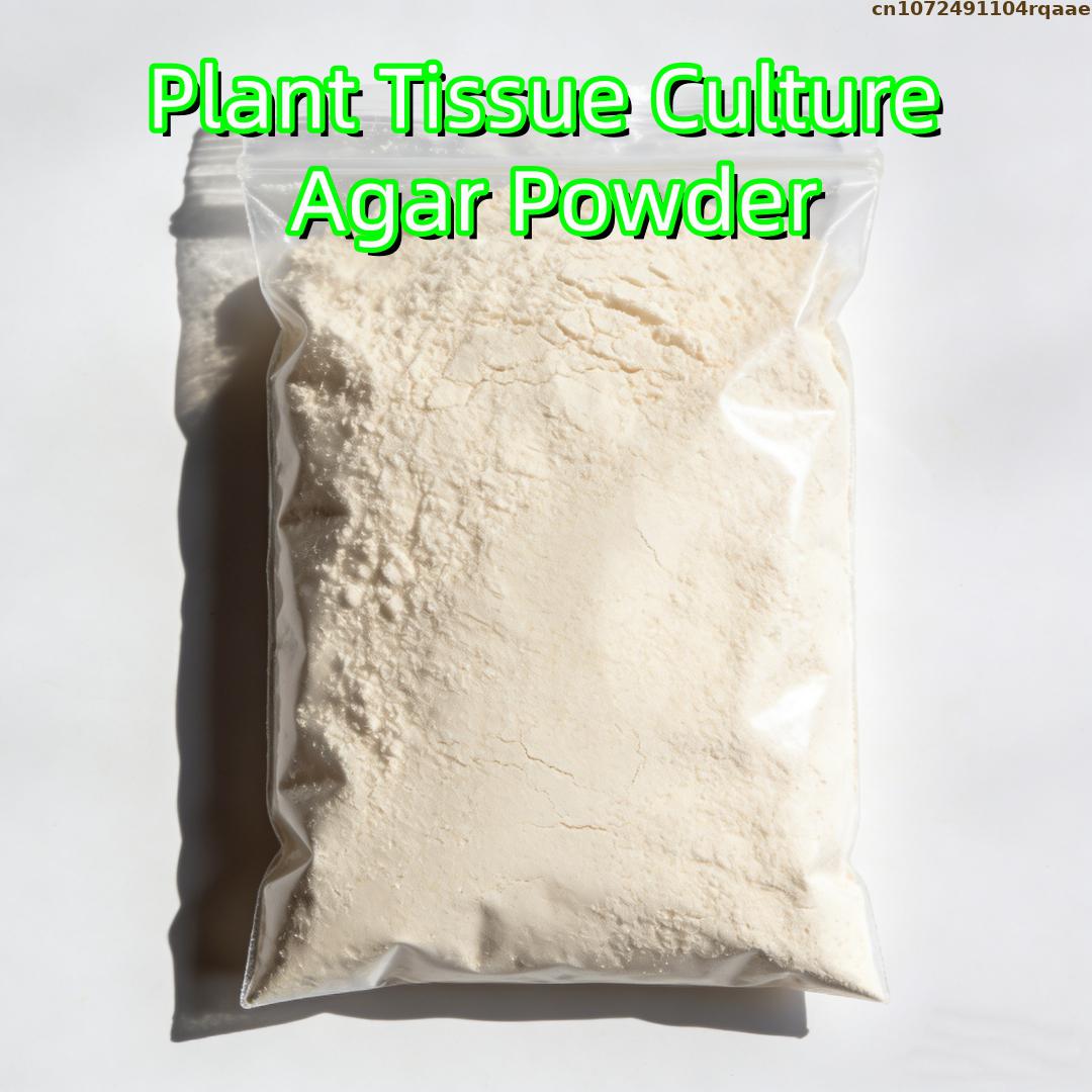 ผงอะการ์เพาะเลี้ยงเนื้อเยื่อพื - Agar Tissue Culture บทวิจารณ์และราคา