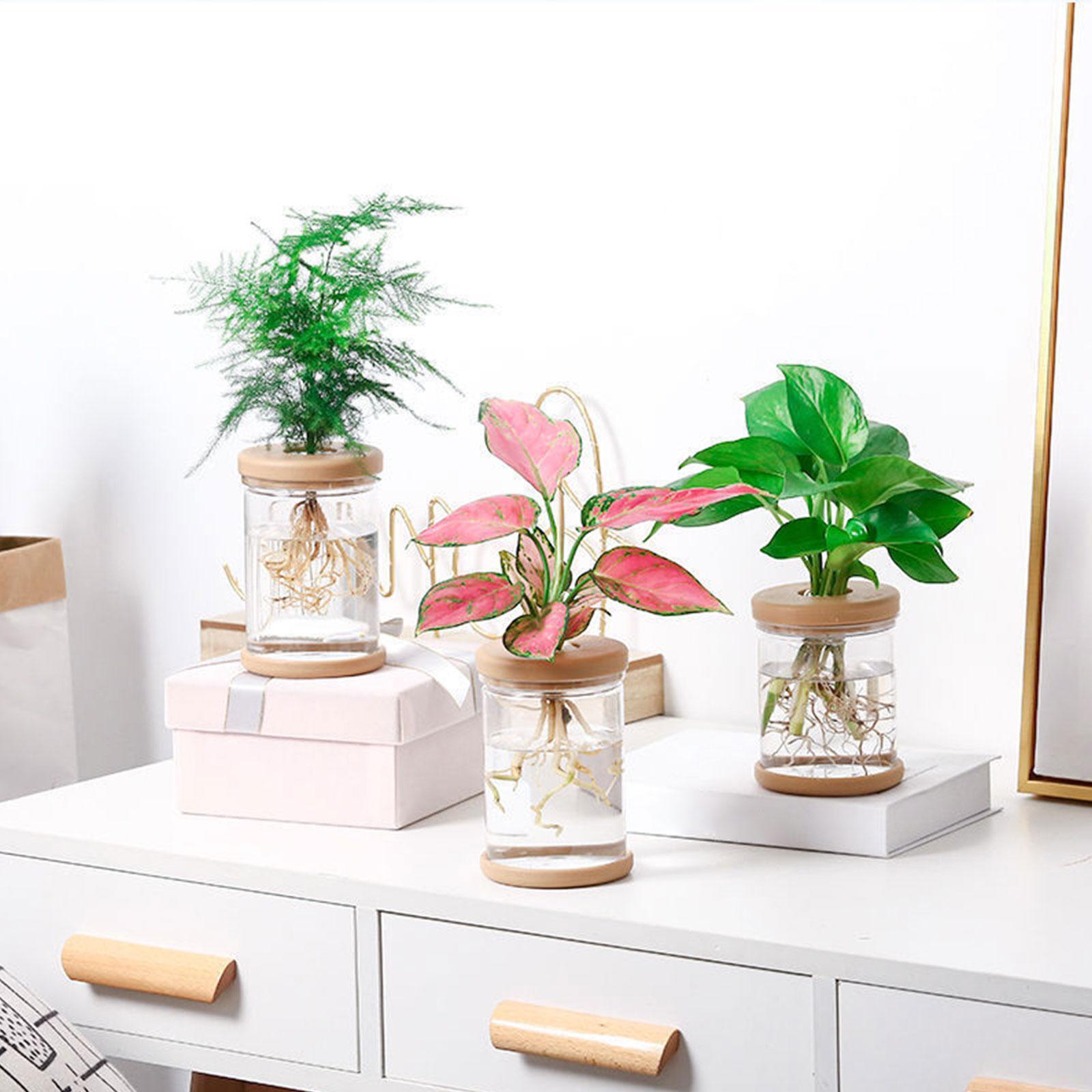 แจกันดอกไม้ไฮโดรโปนิกส์ 3 ชิ้น - Propagation Station Vase บทวิจารณ์และราคา