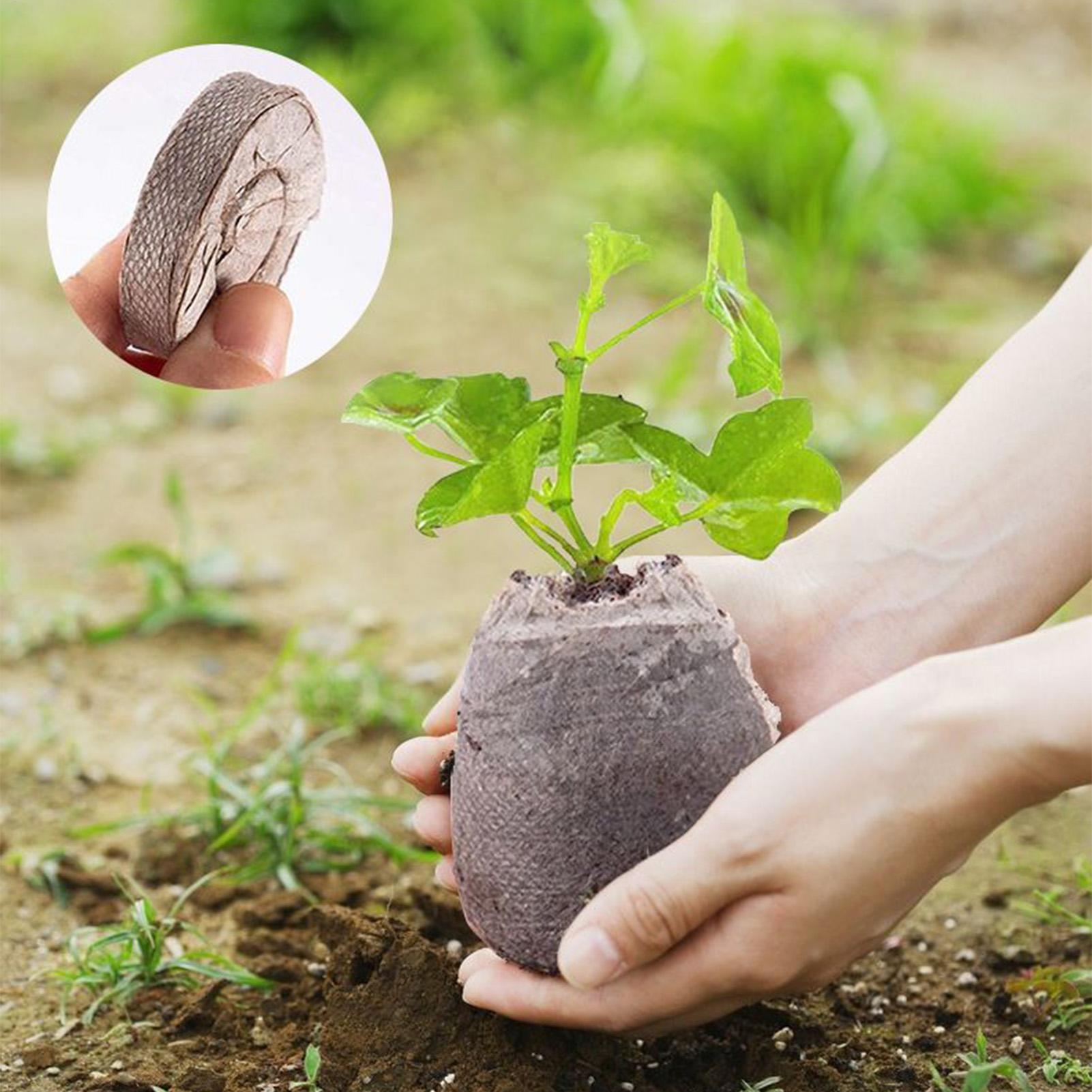 ถาดเพาะเมล็ด 100 ชิ้น ขนาด 30  - Peat Pellet Tray บทวิจารณ์และราคา