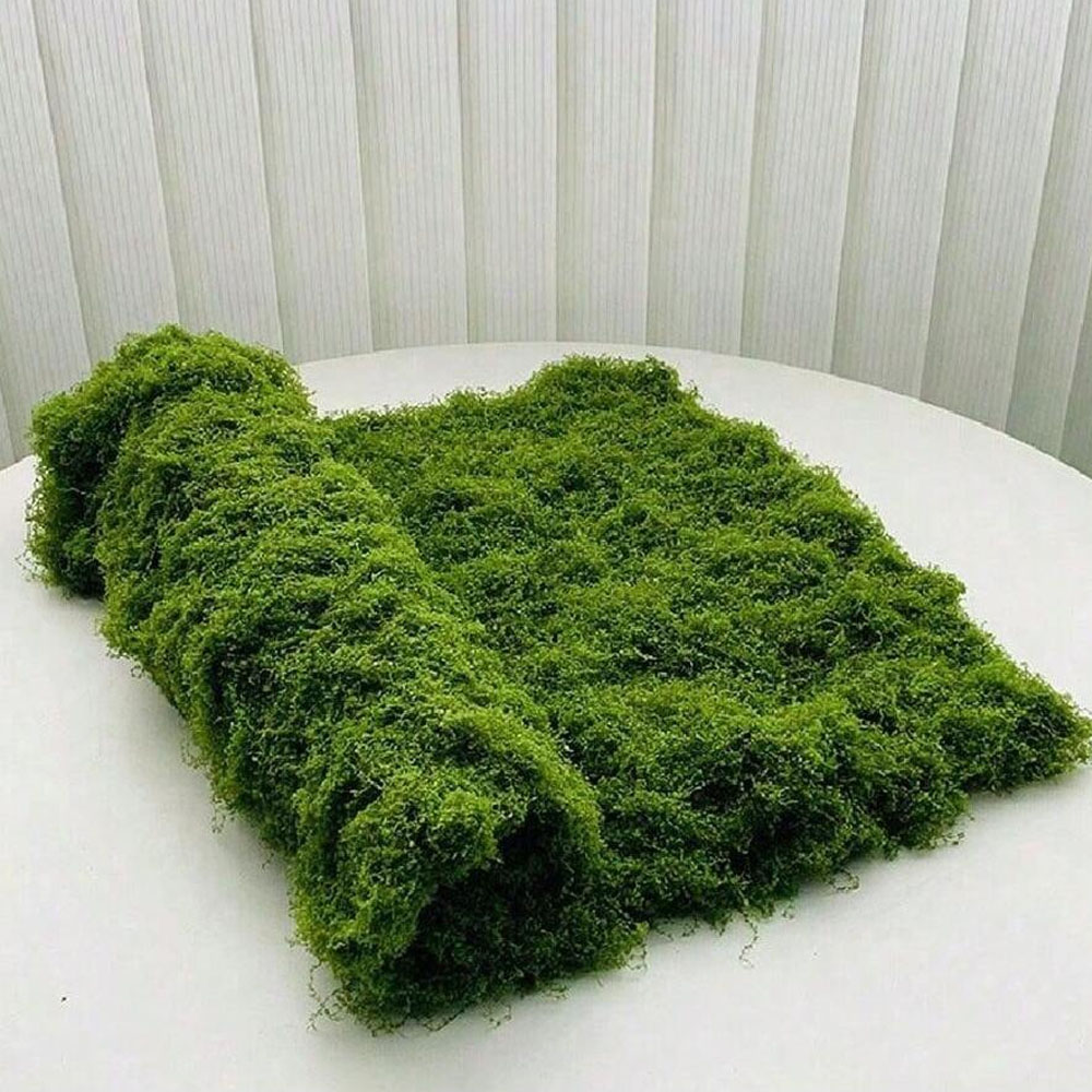 1*1 M ปลอม MOSS งานฝีมือ DIY ห - Sphagnum Moss Dry บทวิจารณ์และราคา