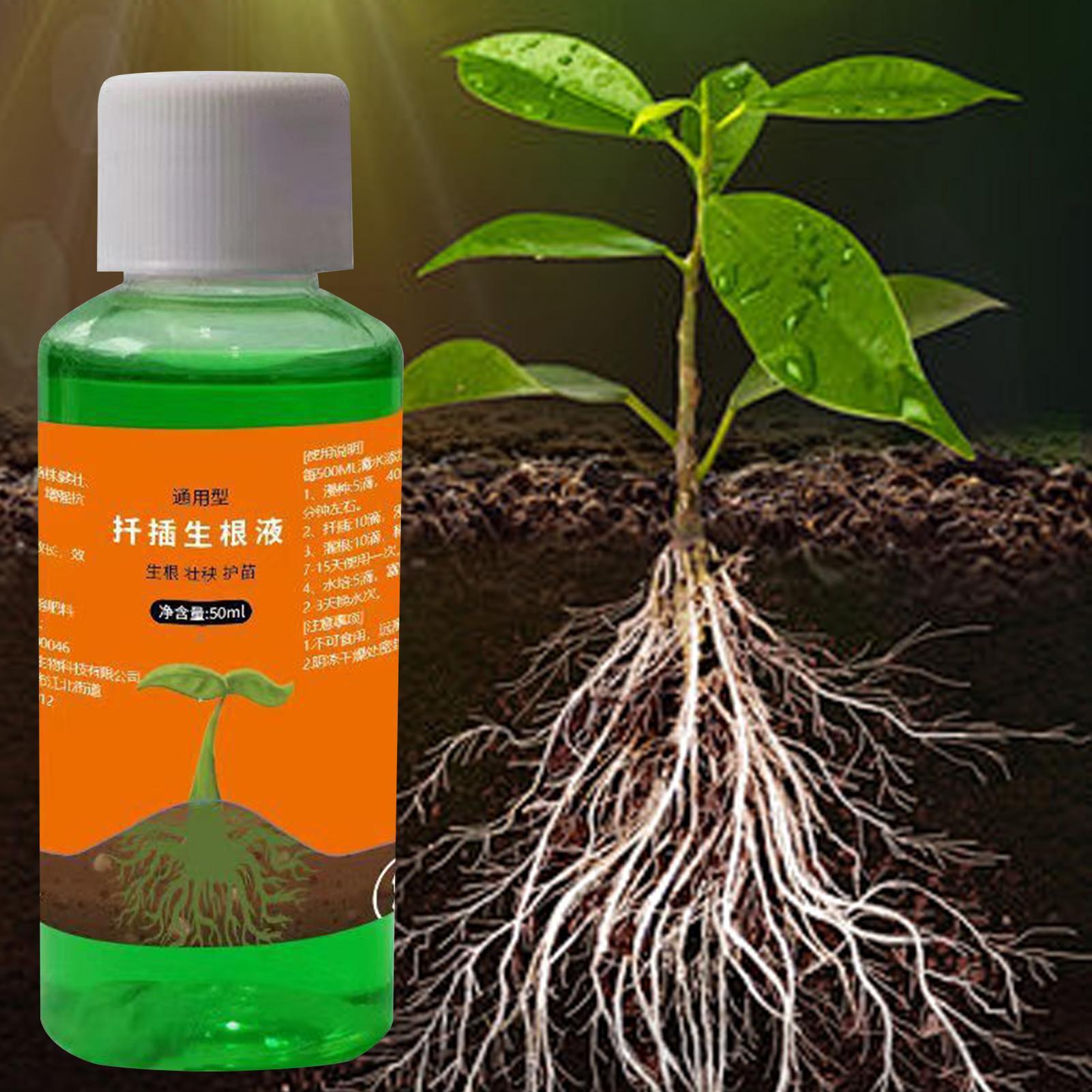 สารกระตุ้นรากประสิทธิภาพสูงสำห - Root Stimulator Liquid บทวิจารณ์และราคา