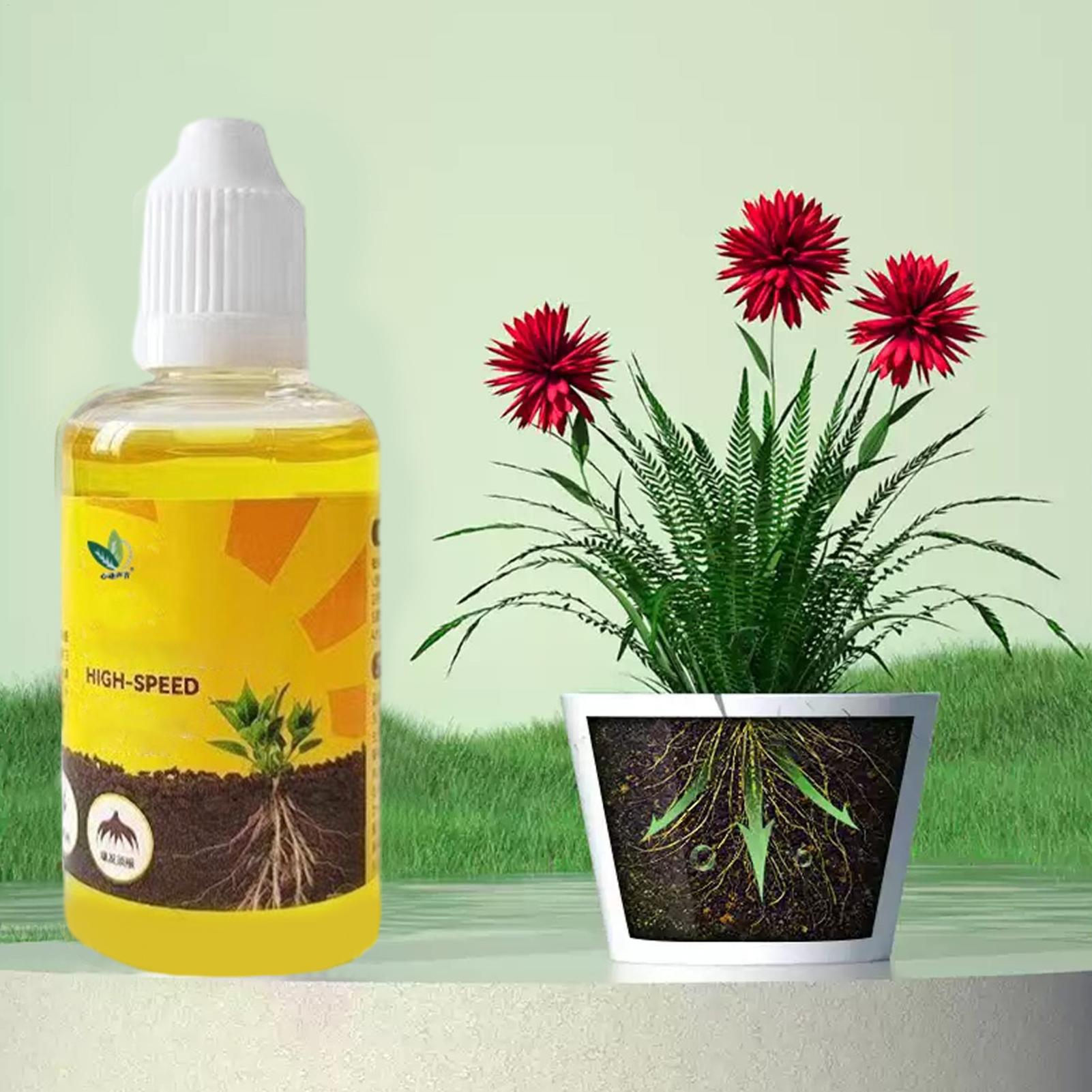 น้ำยาเร่งรากพืช 50 มล. สูตรสาร - Root Stimulator Liquid บทวิจารณ์และราคา