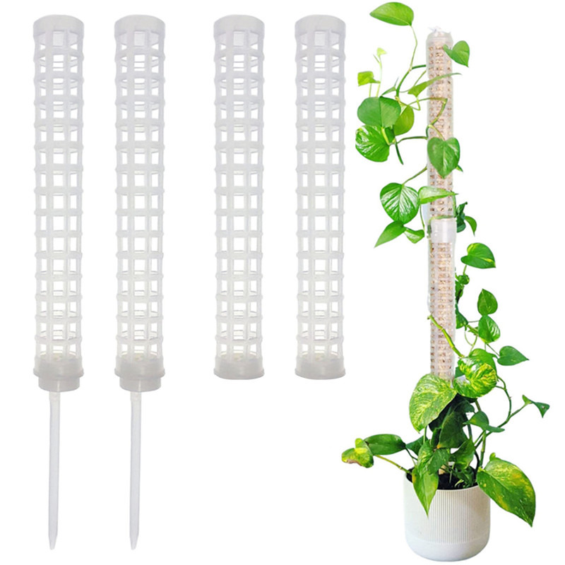 เสาสำหรับพืชเลื้อย ไม้ค้ำยันต้ - Sphagnum Moss Dry บทวิจารณ์และราคา