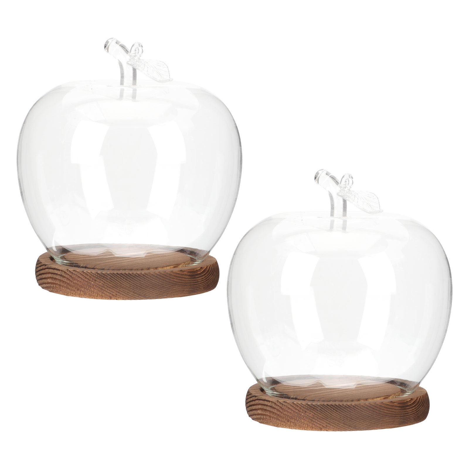 โดมแก้ว 2 ชิ้นพร้อมฐานไม้ ฝาคร - Plastic Dome Clear บทวิจารณ์และราคา
