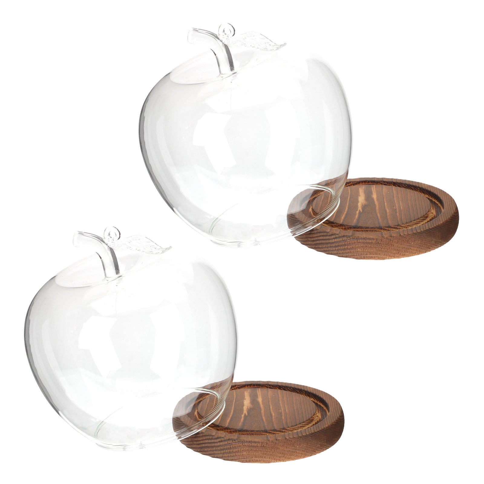 โดมแก้ว 2 ชิ้นพร้อมฐานไม้ ฝาคร - Plastic Dome Clear บทวิจารณ์และราคา