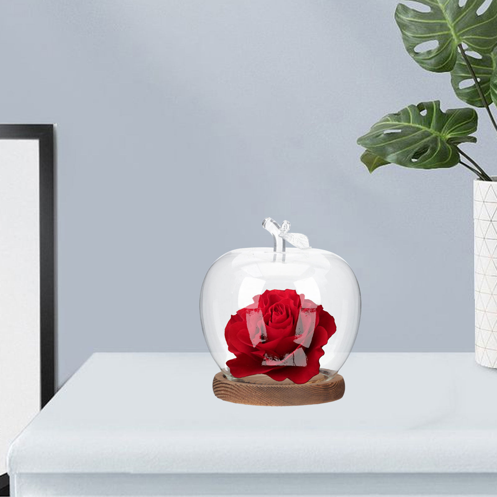 โดมแก้ว 2 ชิ้นพร้อมฐานไม้ ฝาคร - Plastic Dome Clear บทวิจารณ์และราคา