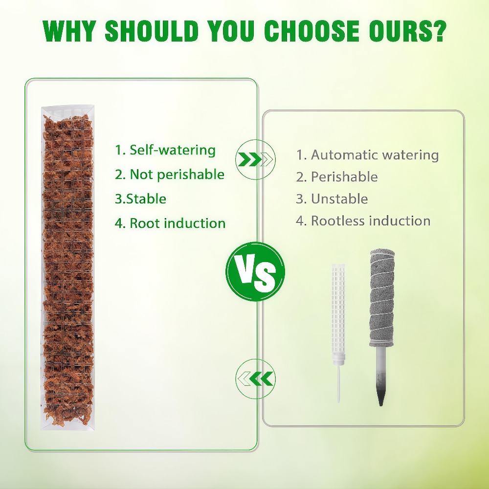 เสาพลาสติกสำหรับยึดต้นไม้ในร่ม - Sphagnum Moss Dry บทวิจารณ์และราคา