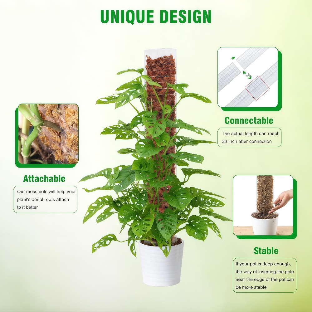 เสาพลาสติกสำหรับยึดต้นไม้ในร่ม - Sphagnum Moss Dry บทวิจารณ์และราคา